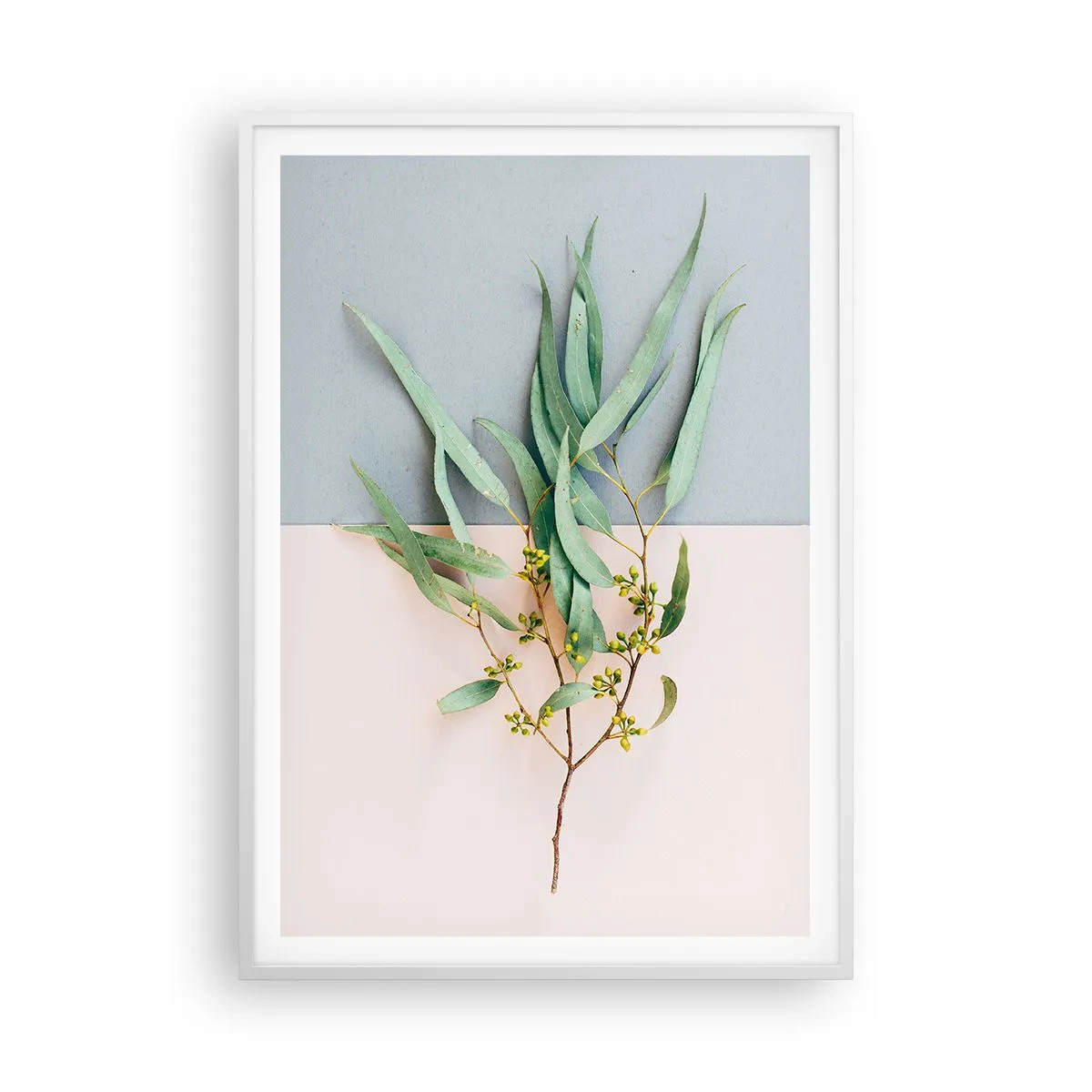 Plagát v bielom ráme - Pastelová jemnosť - 70x100 cm