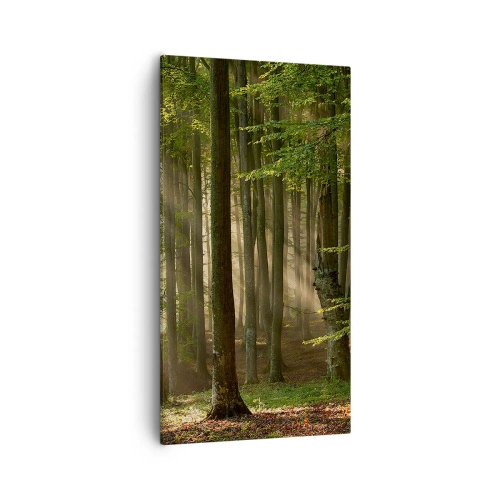 Obraz na plátne - Rozžiarený v jarnom ráne - 55x100 cm