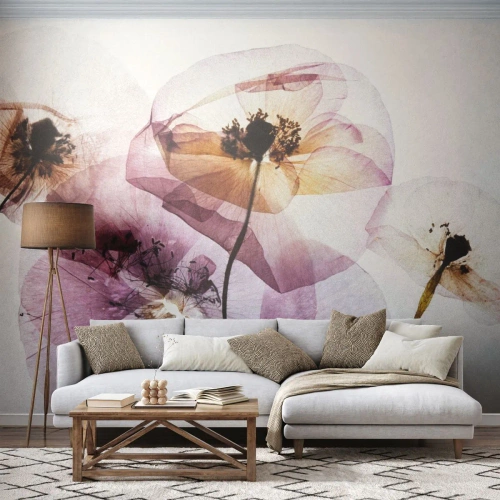 Fototapeta Standard Eco - Priehľadné telá kvetín - Kvety, Záhrada, Kus - 300x210 cm