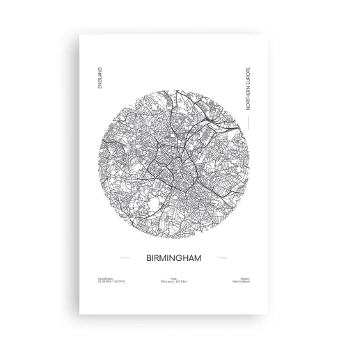 Plagát - Anatómia Birminghamu - 61x91 cm