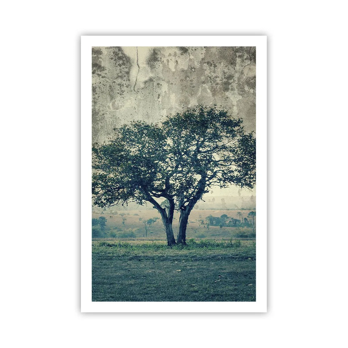 Plagát - Jabloň na modrom poli? - 61x91 cm