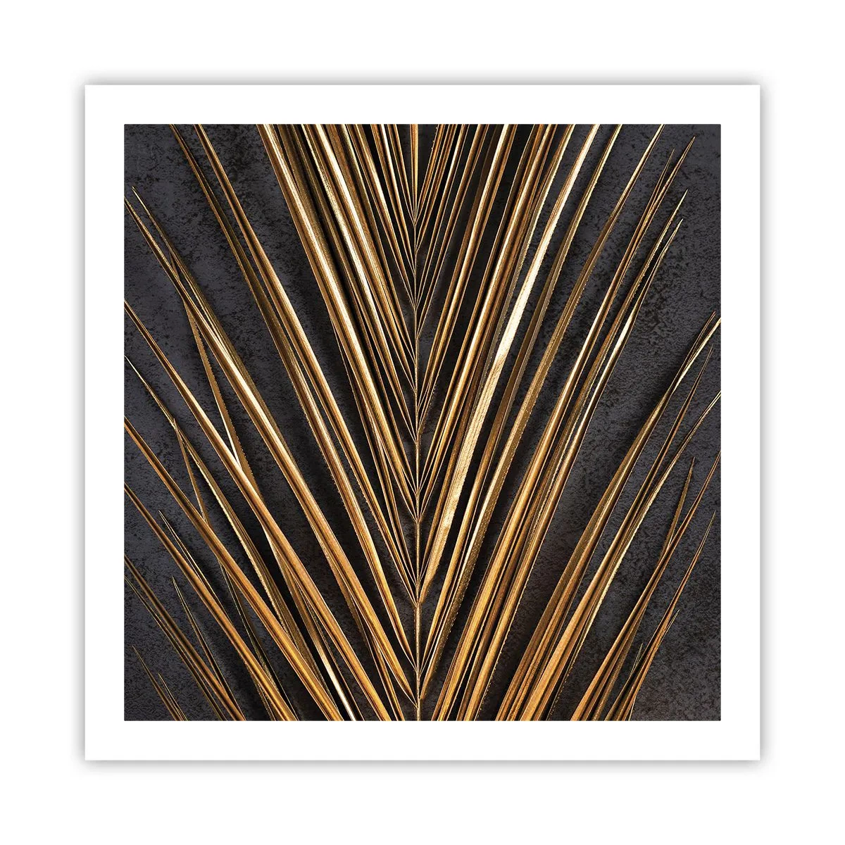 Plagát - Zlato trópov - 60x60 cm