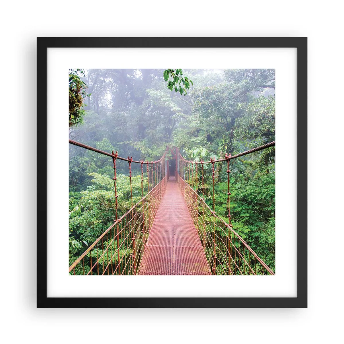 Plagát v čiernom ráme - Zavesený nad korunami - 40x40 cm