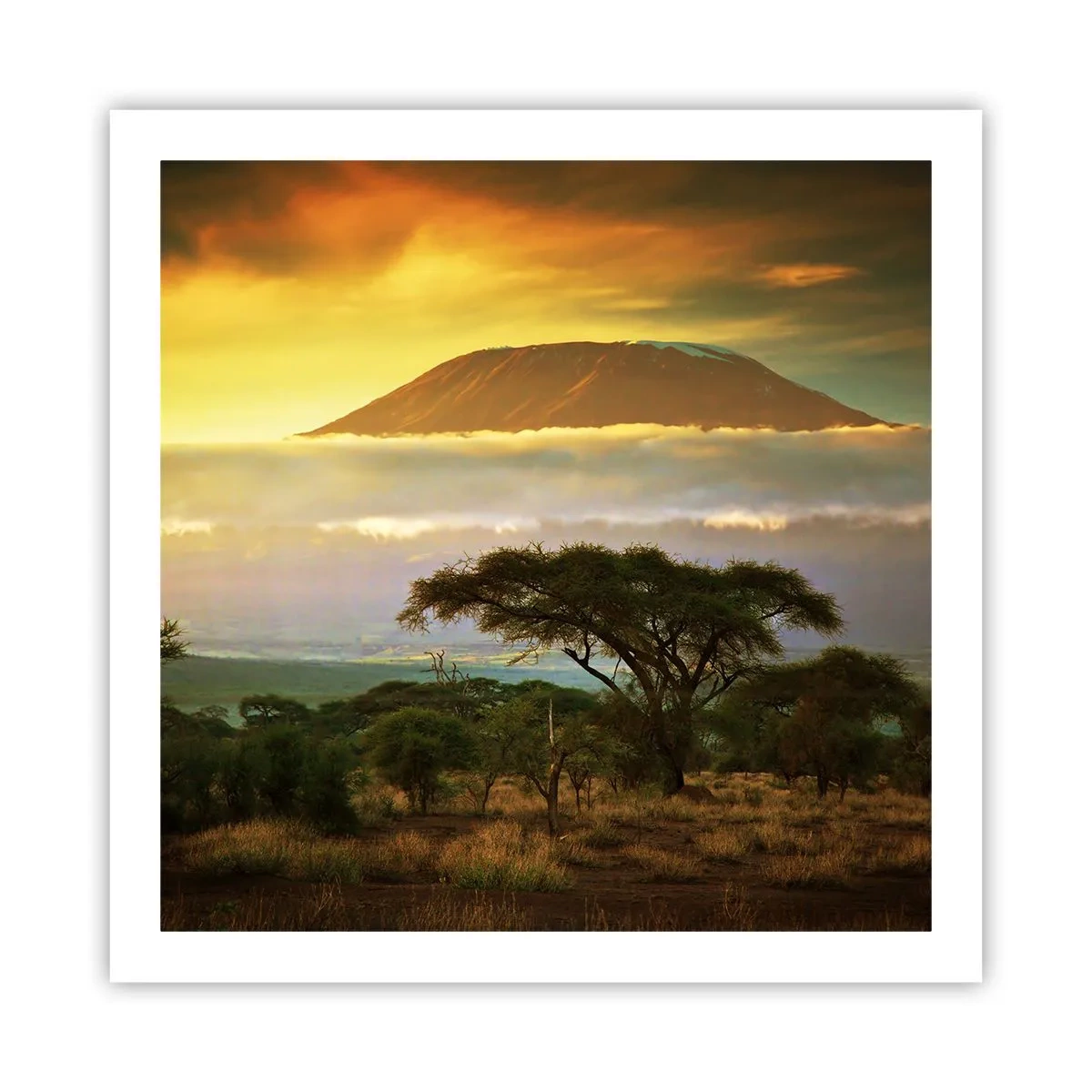 Plagát - Sen cestovateľa - 60x60 cm