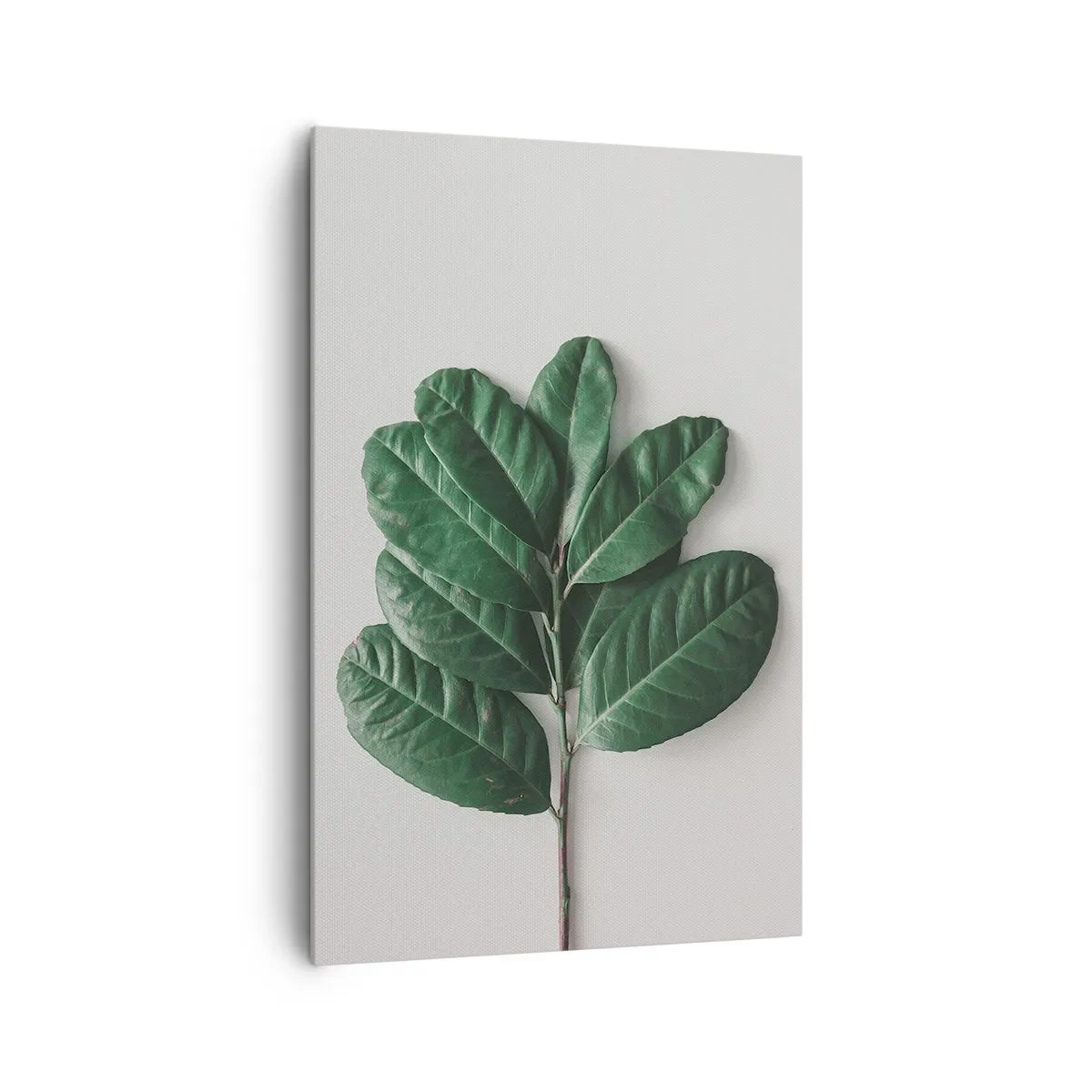 Obraz na plátne - Kresba samotnej prírody - 80x120 cm