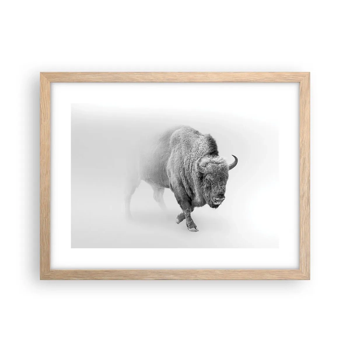 Plagát v ráme zo svetlého duba - Kráľ prérie - 40x30 cm