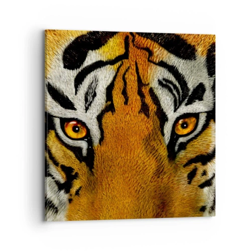 Obraz na plátne - Nebezpečný a krásny - 70x70 cm