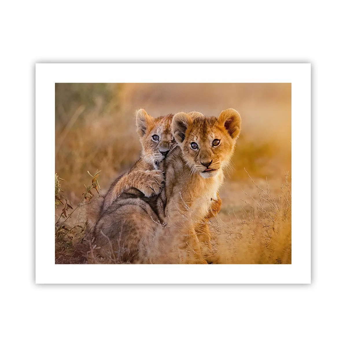 Plagát - Nevyrušovať! Hrajme sa - 50x40 cm