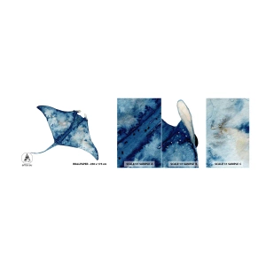 Vzorka samolepiacej fototapety Deluxe Sticker - Modrý život - Stingray, Ryby, Prímorský štýl - 100x30 cm