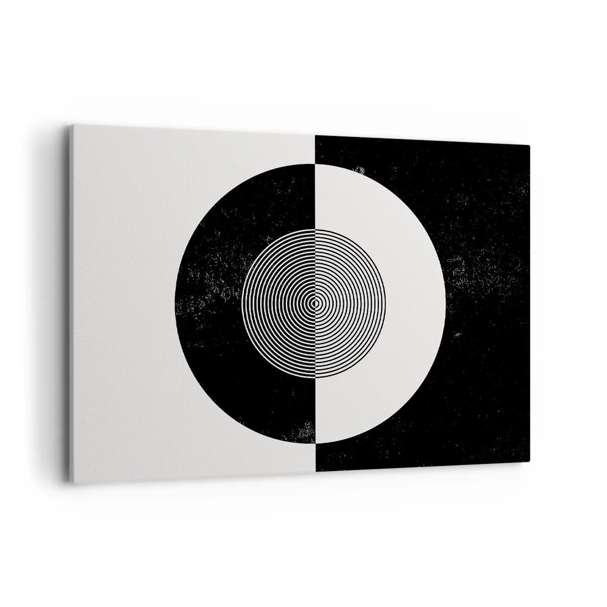 Obraz na plátne - Harmónia v čiernej a bielej - 100x70 cm
