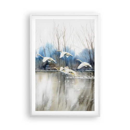 Plagát v bielom ráme - Ako v poviedke o divokých labutiach - 61x91 cm