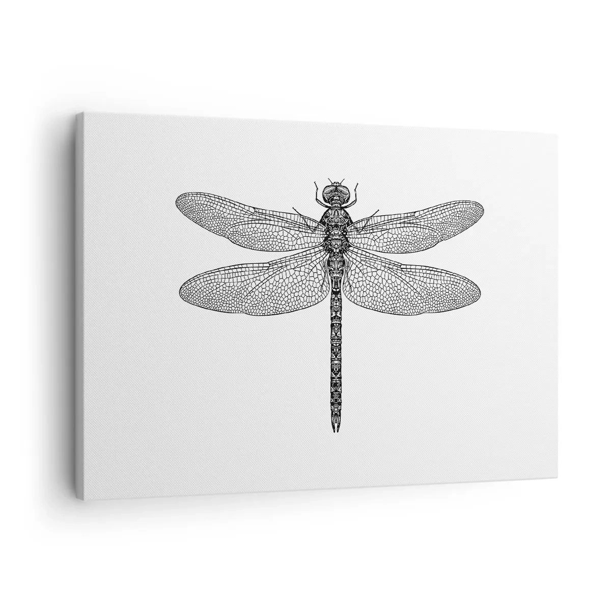 Obraz na plátne - Čiernobiela kresba vážky na bielom pozadí v minimalistickom štýle - 70x50cm - Presnosť prírody - Moderná nástenná dekorácia do obývacej izby a spálne ARTTOR