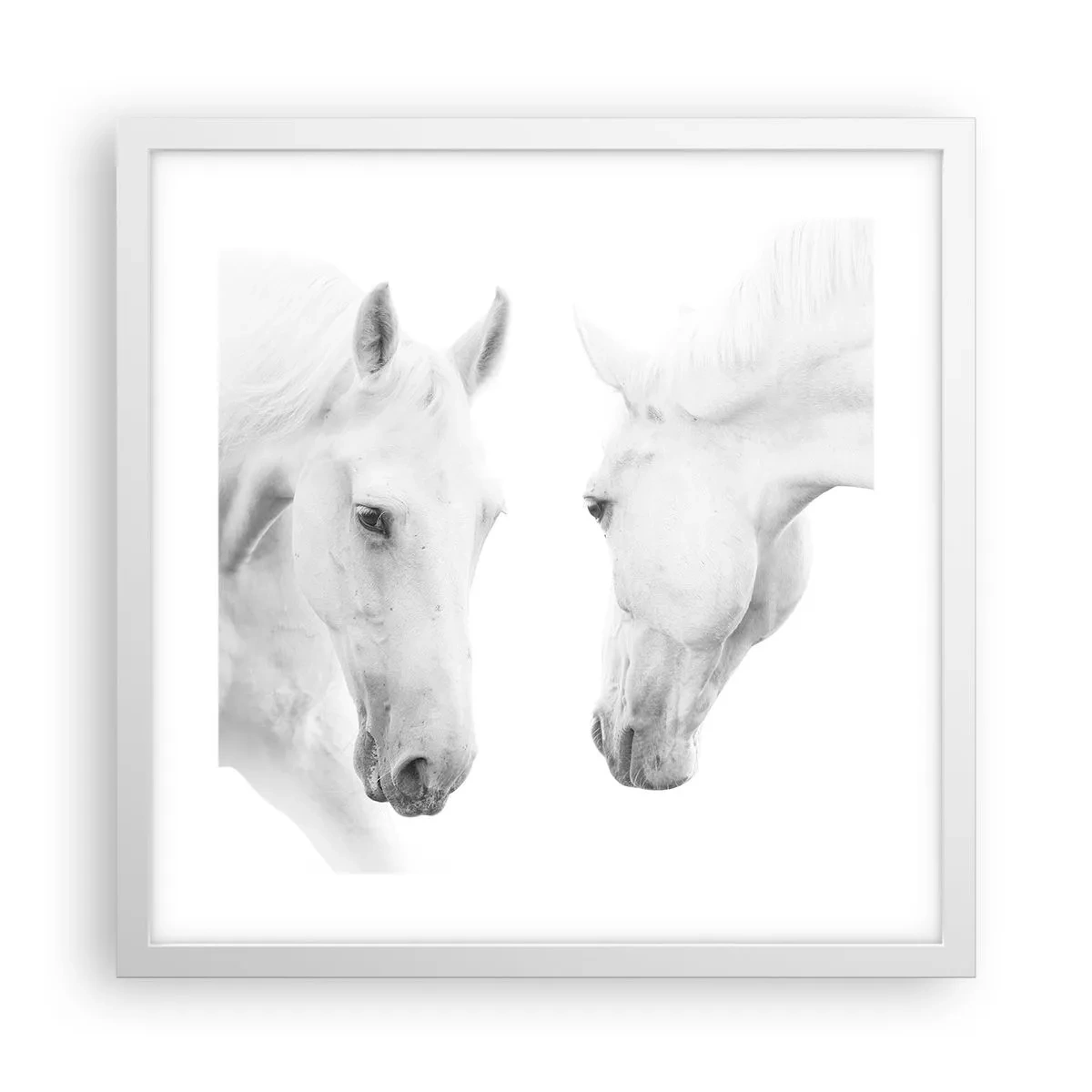 Plagát v bielom ráme - Je to priateľstvo…? - 40x40 cm