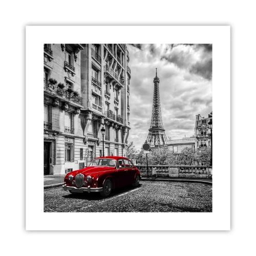 Plagát - Dravec v meste - 40x40 cm