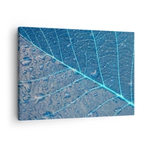 Obraz na plátne - List v odtieňoch modrej s kvapkami vody - 70x50cm - Modrý život - Moderná nástenná dekorácia do obývacej izby a spálne ARTTOR