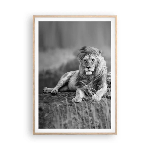 Plagát v ráme zo svetlého duba - Kráľovská siesta - 70x100 cm