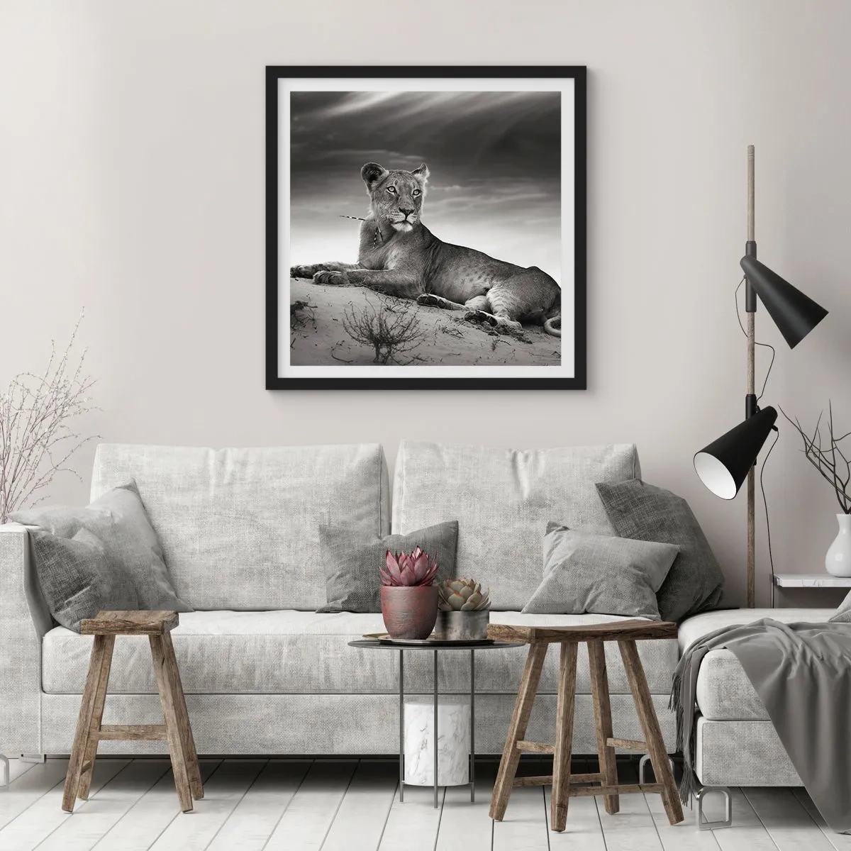 Plagát v čiernom ráme - Odpočinok kráľovnej púšte - 60x60 cm