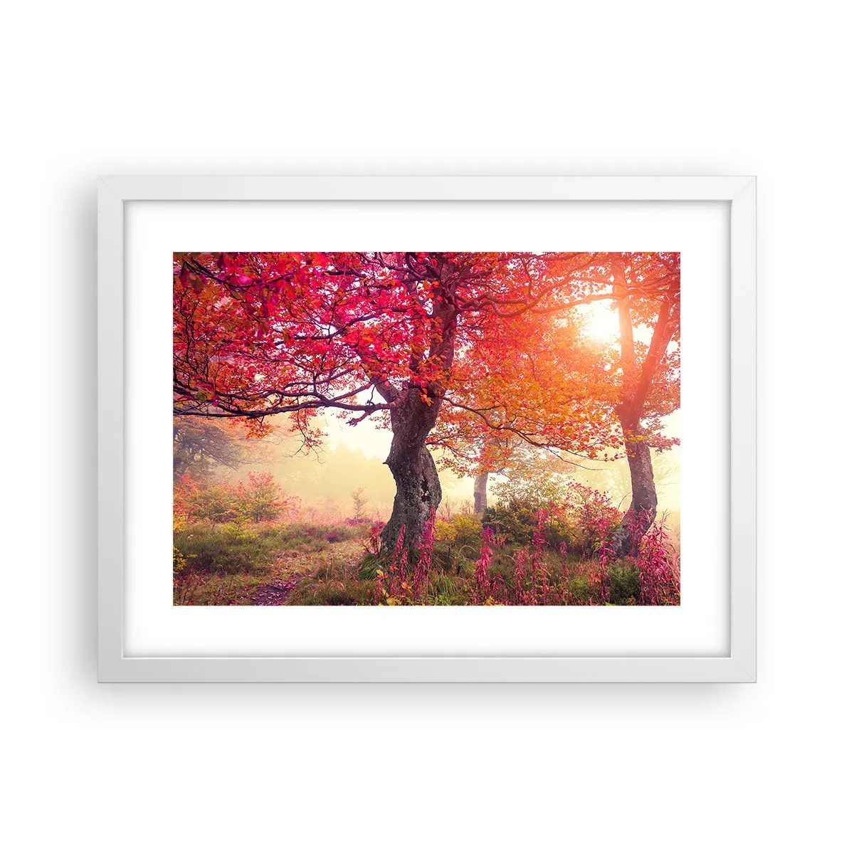 Plagát v bielom ráme - Šialenstvo rozkvetu - 40x30 cm