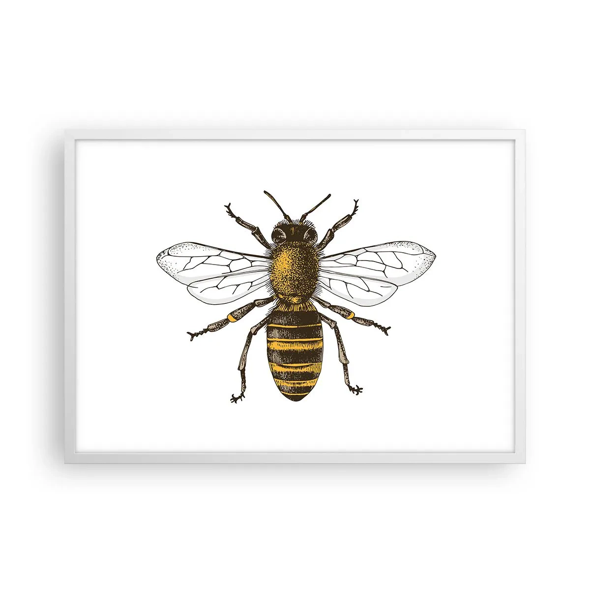 Plagát v bielom ráme - Krásna a dobrá - 70x50 cm