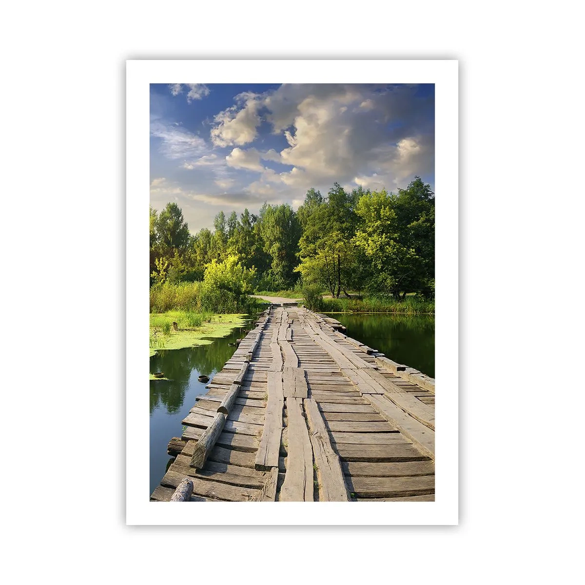 Plagát - Leto, leto všade - 50x70 cm