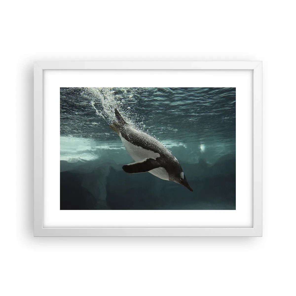 Plagát v bielom ráme - Vitajte v mojom svete - 40x30 cm