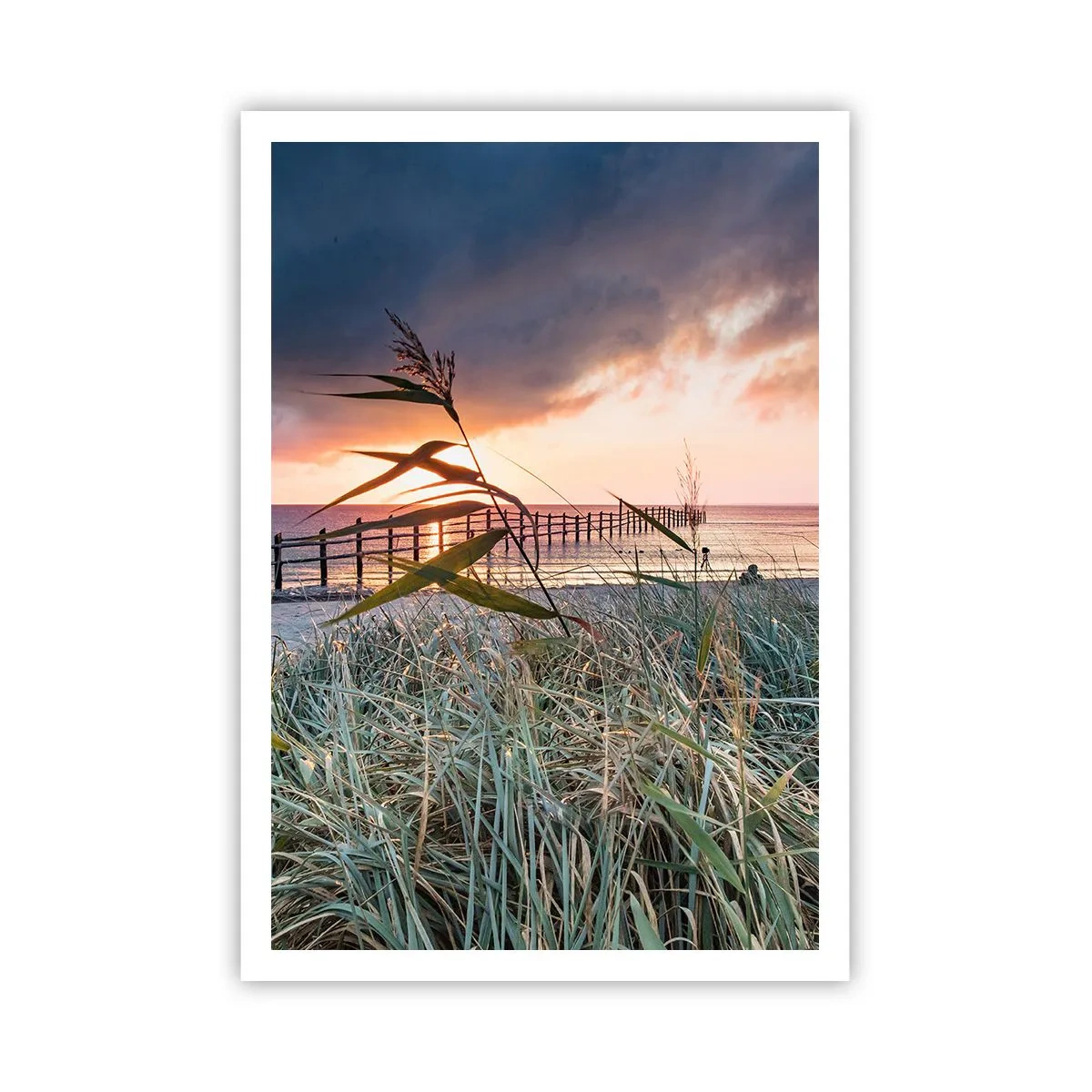 Plagát - Neodviate vetrom - 70x100 cm