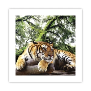 Plagát - S úctou - 40x40 cm