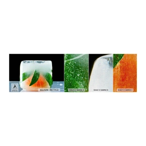 Vzorka fototapety Premium Canvas - Sviežosť a osvieženie - Ľadová kocka, Oranžová, List mäty - 100x30 cm