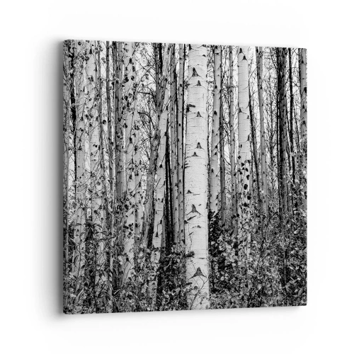 Obraz na plátne - Brezová kolonáda - 40x40 cm