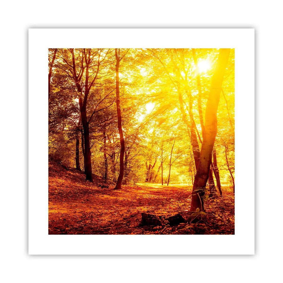 Plagát - K zlatej čistinke - 40x40 cm