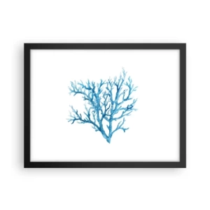 Plagát v čiernom ráme - Morský filigrán - 40x30 cm