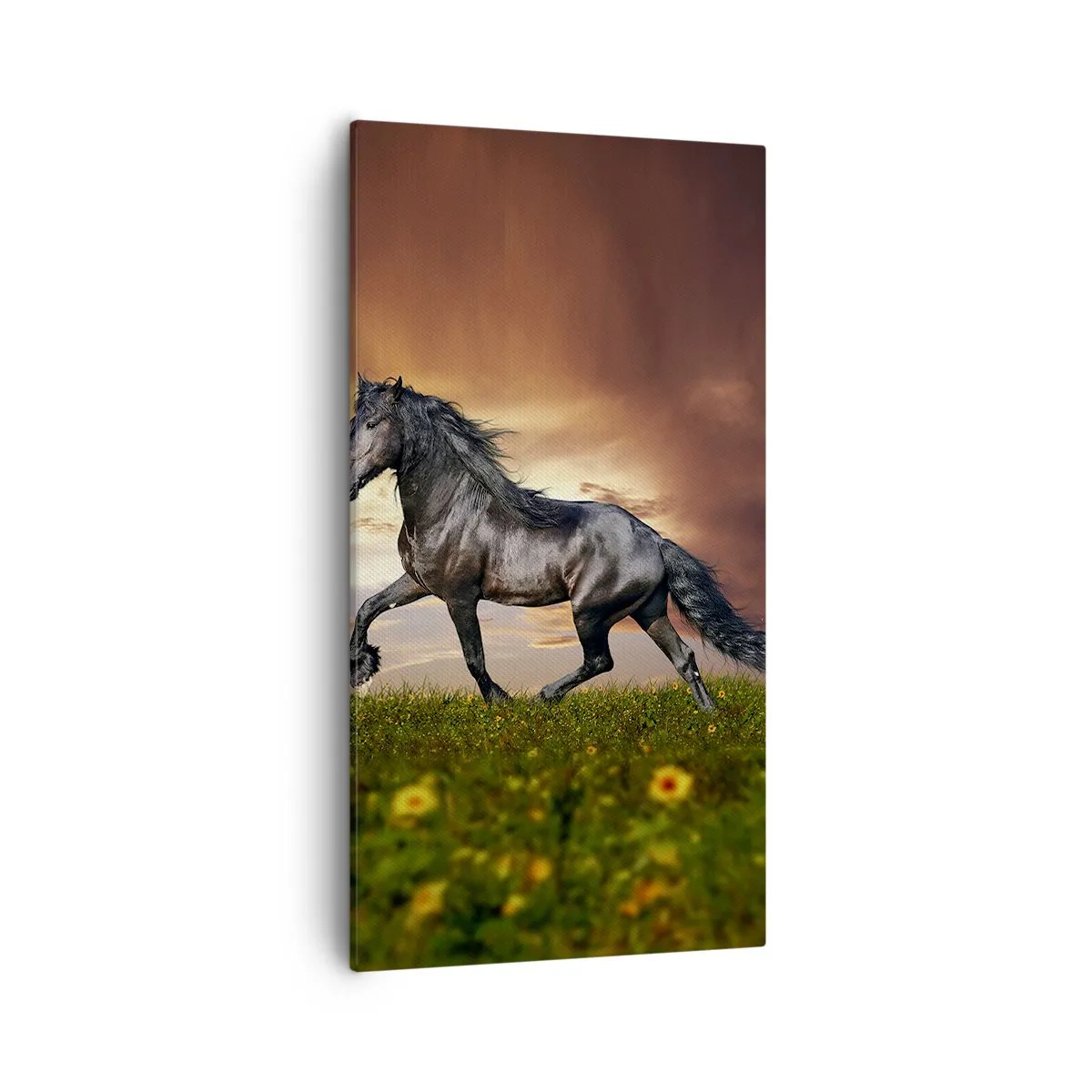 Obraz na plátne - Čierny knieža - 55x100 cm