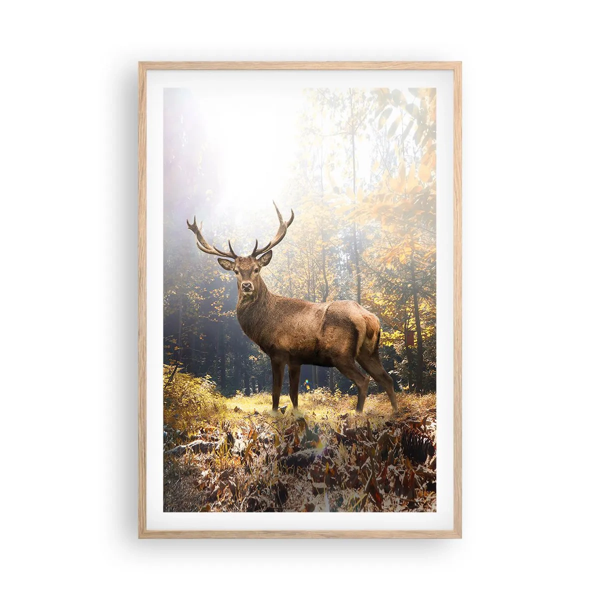 Plagát v ráme zo svetlého duba - Plné dôstojnosti - 61x91 cm