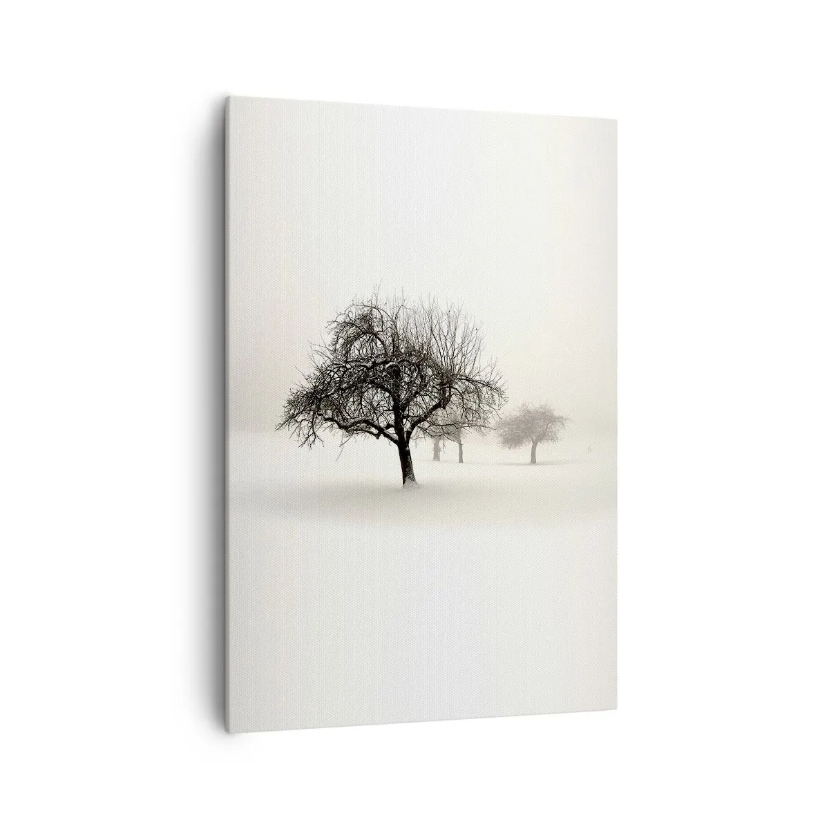 Obraz na plátne - Zimný sen - 70x100 cm