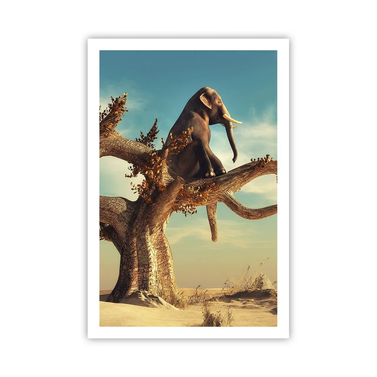 Plagát - Nový uhol pohľadu - 61x91 cm