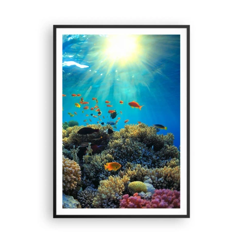 Plagát v čiernom ráme - Podvodné poklady - 70x100 cm