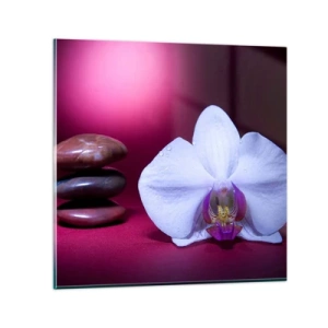 Obraz na skle - Štúdia sviežosti vo fialovej - 70x70 cm