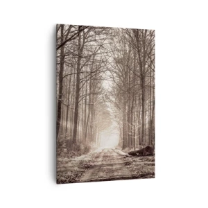 Obraz na plátne - Lesná katedrála - 70x100 cm