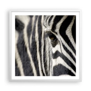 Plagát v bielom ráme - Portrét s pruhmi - 60x60 cm
