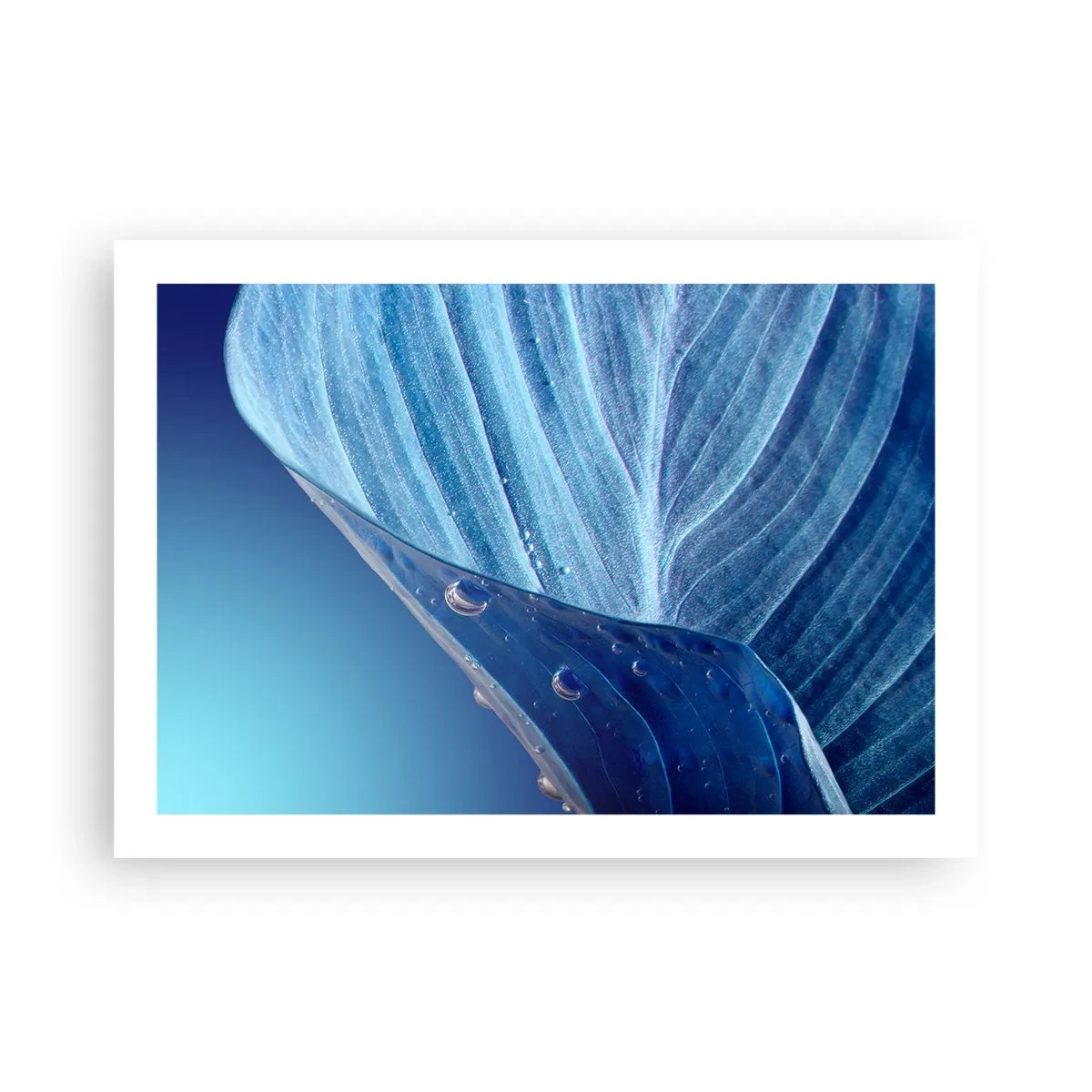 Plagát - Skryté kvapky modrej - 70x50 cm