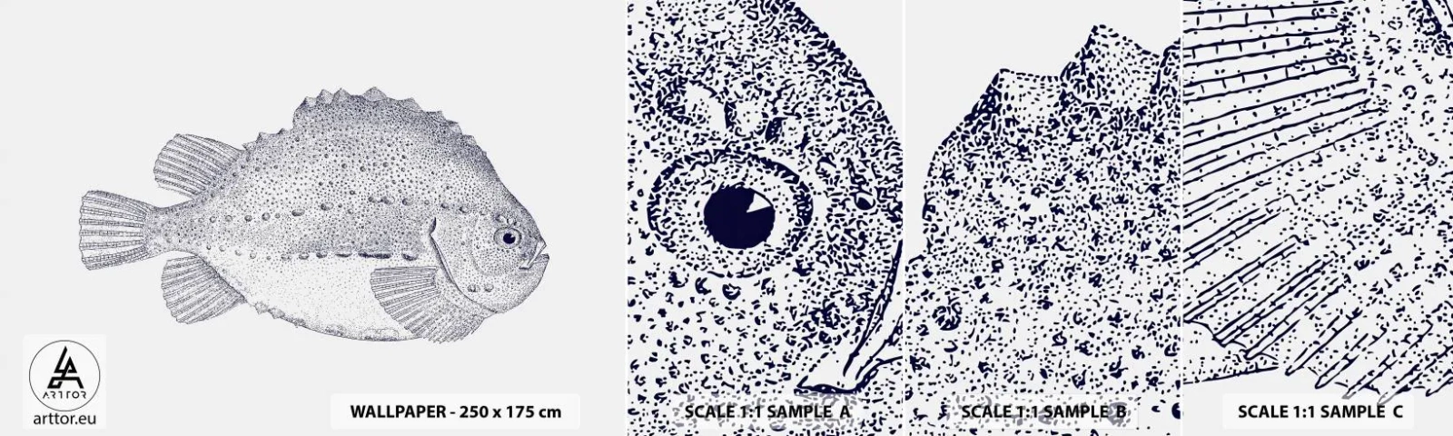 Vzorka Fototapeta Standard Eco - Do albumu prírodovedca - Ryby, Námorná, oceán - 100x30 cm