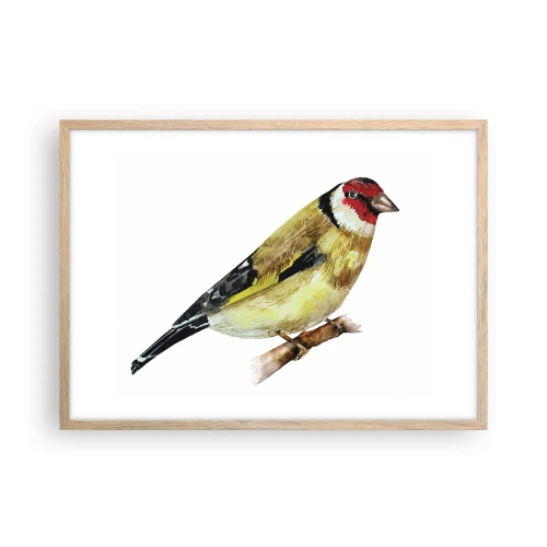 Plagát v ráme zo svetlého duba - Vtáčí portrét - 70x50 cm
