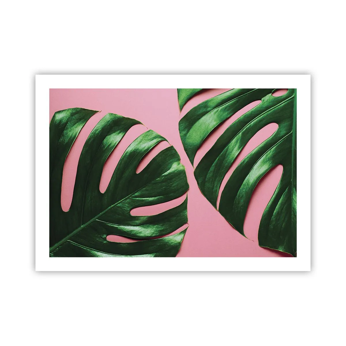 Plagát - Zelené rendez-vous - 70x50 cm