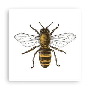 Plagát - Krásna a dobrá - 50x50 cm