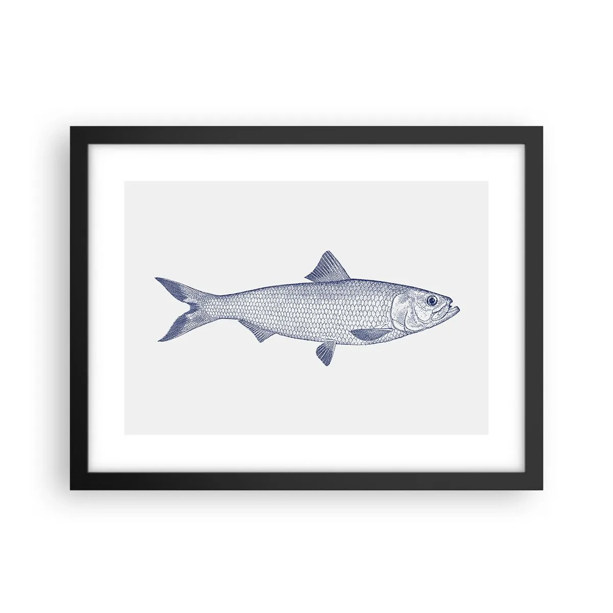 Plagát v čiernom ráme - Pozdravy zo severných morí - 40x30 cm