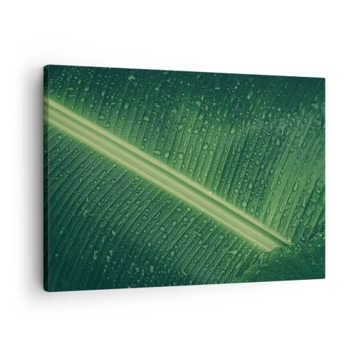 Obraz na plátne - Zelený list s kvapkami vody na jeho povrchu - 70x50cm - Štruktúra zelenej - Moderná nástenná dekorácia do obývacej izby a spálne ARTTOR