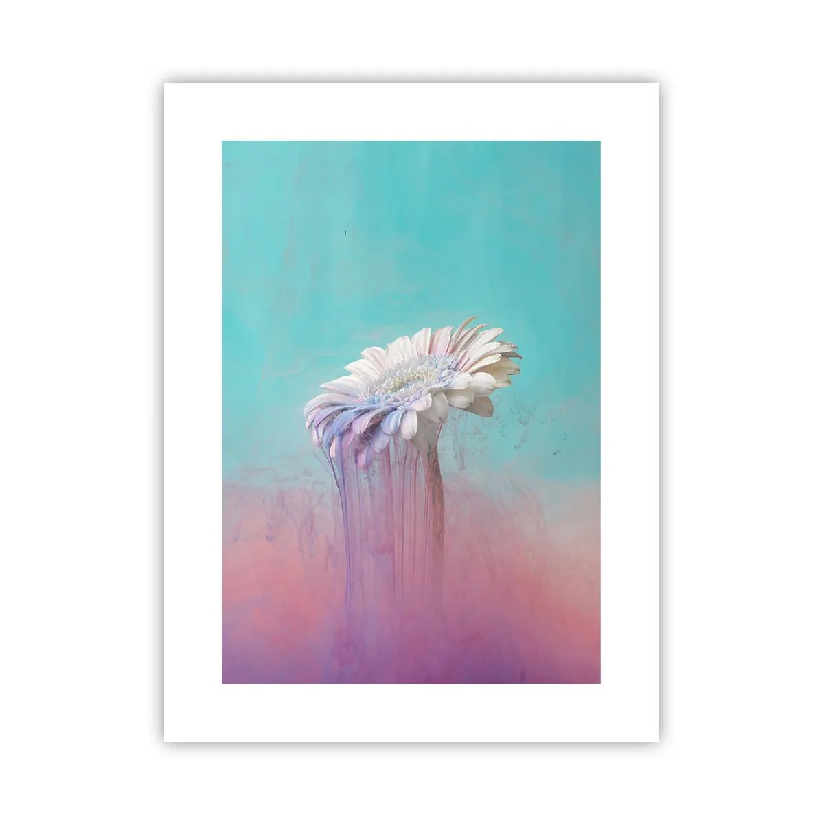 Plagát - Záhrobia kvetín - 30x40 cm