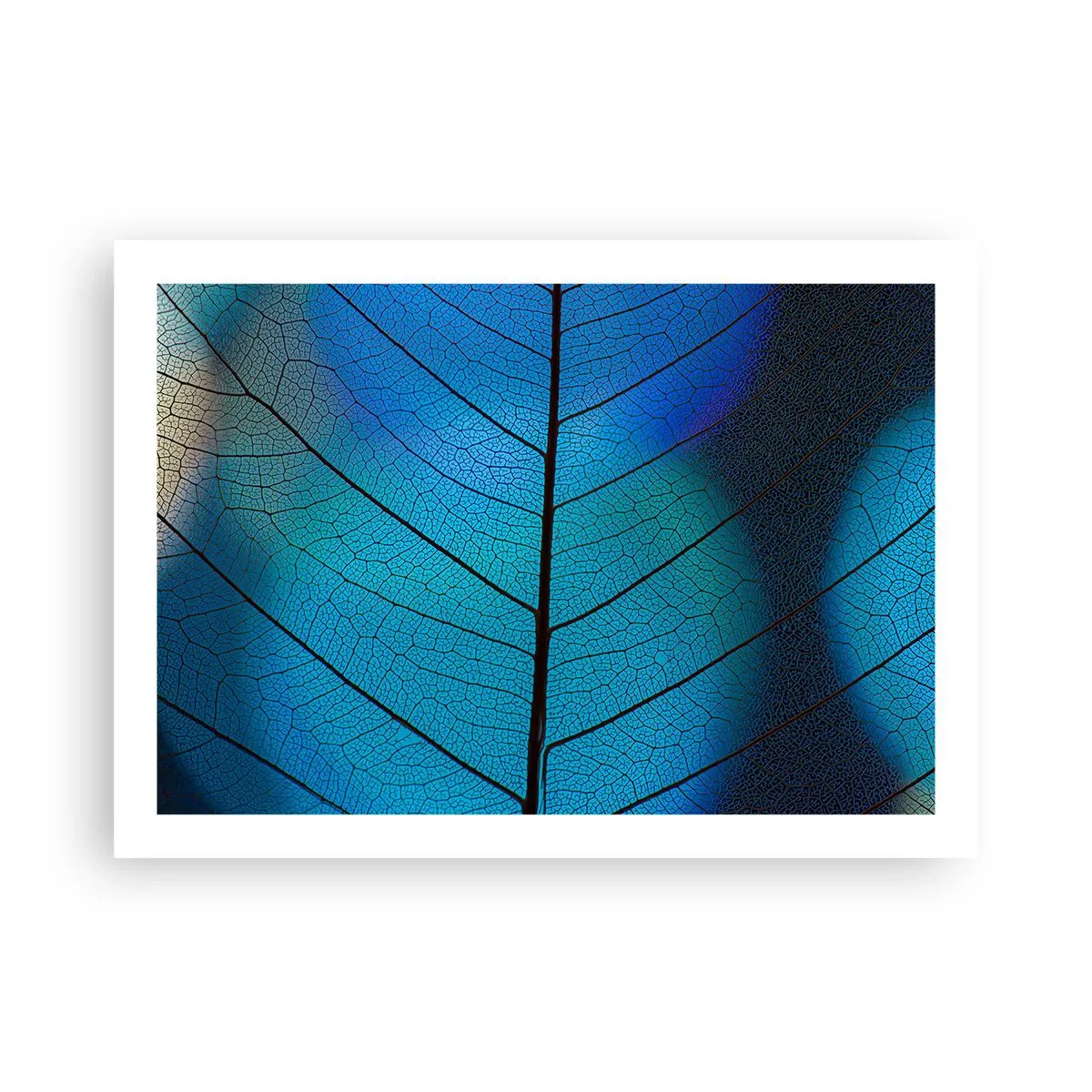 Plagát - Až do detailov - 70x50 cm