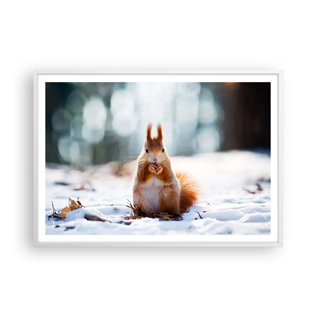 Plagát v bielom ráme - Čo sa tak pozeráš? - 100x70 cm