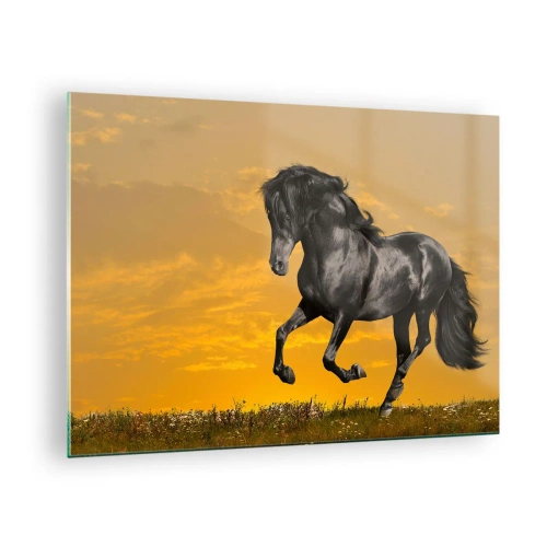 Obraz na skle - Čierny kôň cválajúci proti zapadajúcemu slnku - 70x50cm - Krásny, slobodný a divoký - Moderná nástenná dekorácia do obývacej izby a spálne ARTTOR